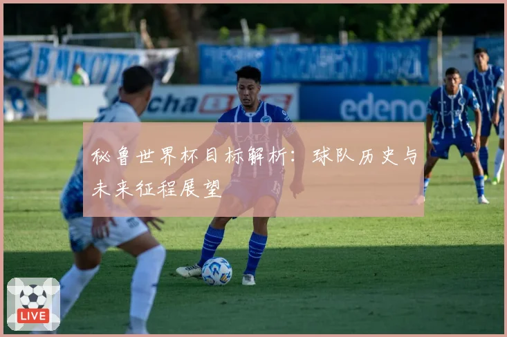秘鲁世界杯目标解析：球队历史与未来征程展望