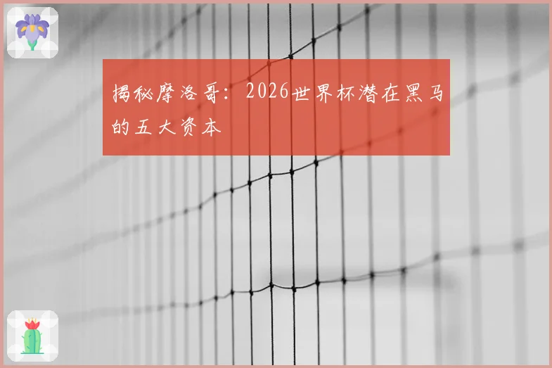 揭秘摩洛哥:2026世界杯潜在黑马的五大资本