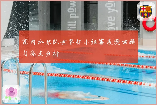 塞内加尔队世界杯小组赛表现回顾与亮点分析