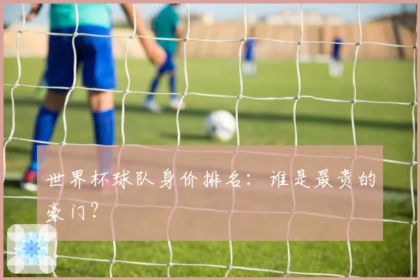 世界杯球队身价排名：谁是最贵的豪门？